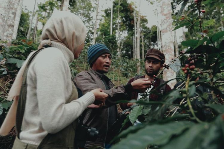 Wisata Petik Dan Pengelolahan kopi
